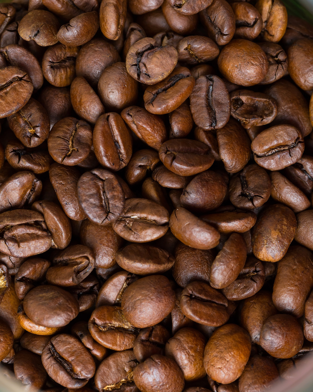 House Decaf - 12 oz