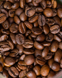 House Decaf - 12 oz